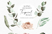 Siesta Tropcal set, an Object Illustration by Olga Koelsch (Thumbnail 8 of 9)