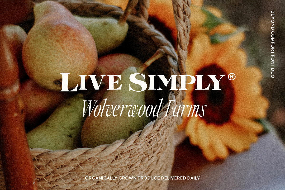 Beyond Comfort - Classy Font Duo, a Serif Font by Tom Chalky (Photo 8 of 13)