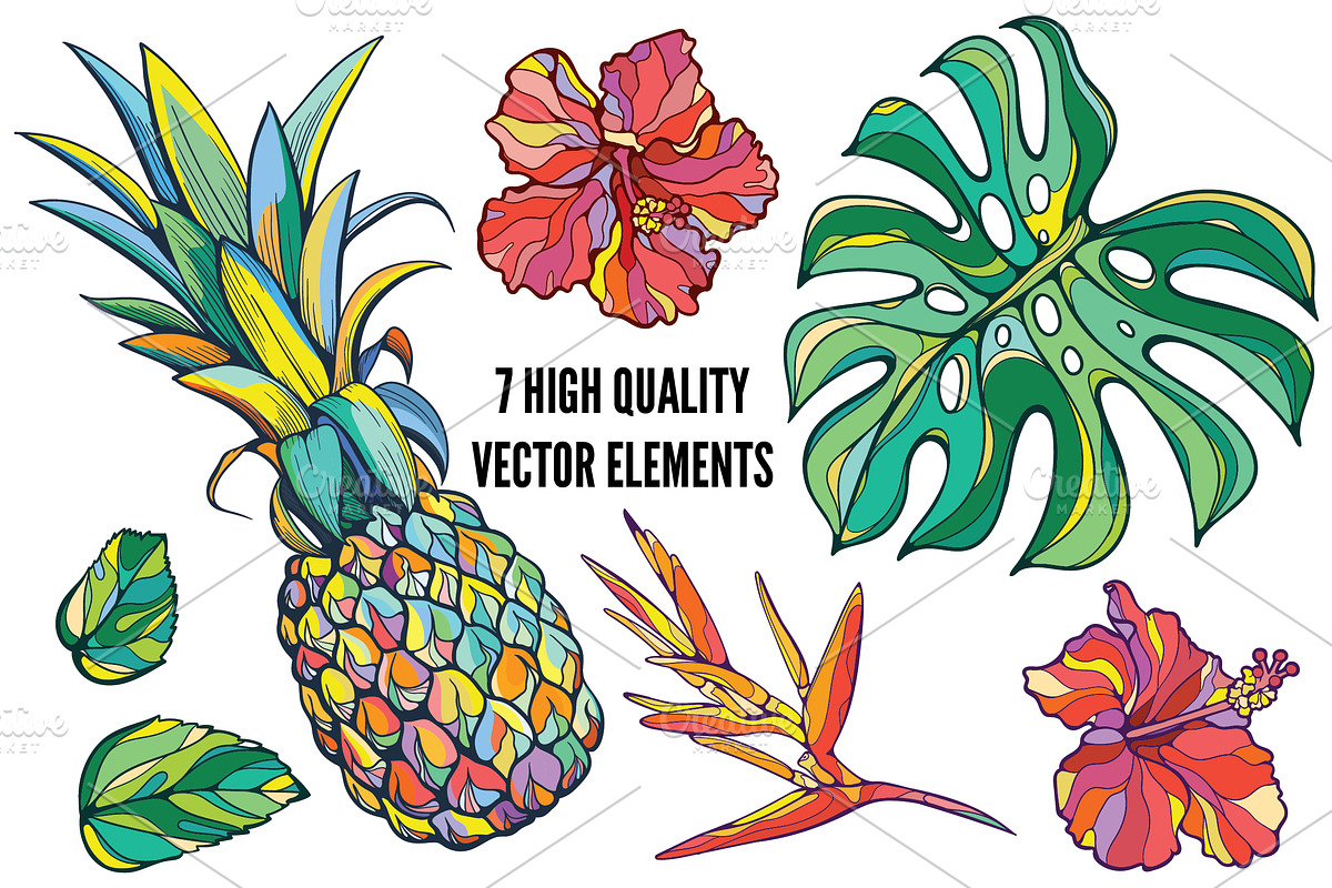 Vector tropical set, a Background Graphic by Purple Platypus (Photo 2 of 10)