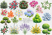 Watercolor Bushes Clipart Bundle, an Illustration by Creative Art (Thumbnail 1 of 10)