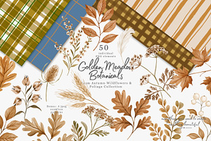 autumn botanical clipart collection, a Decorative Illustration by Patishop Art