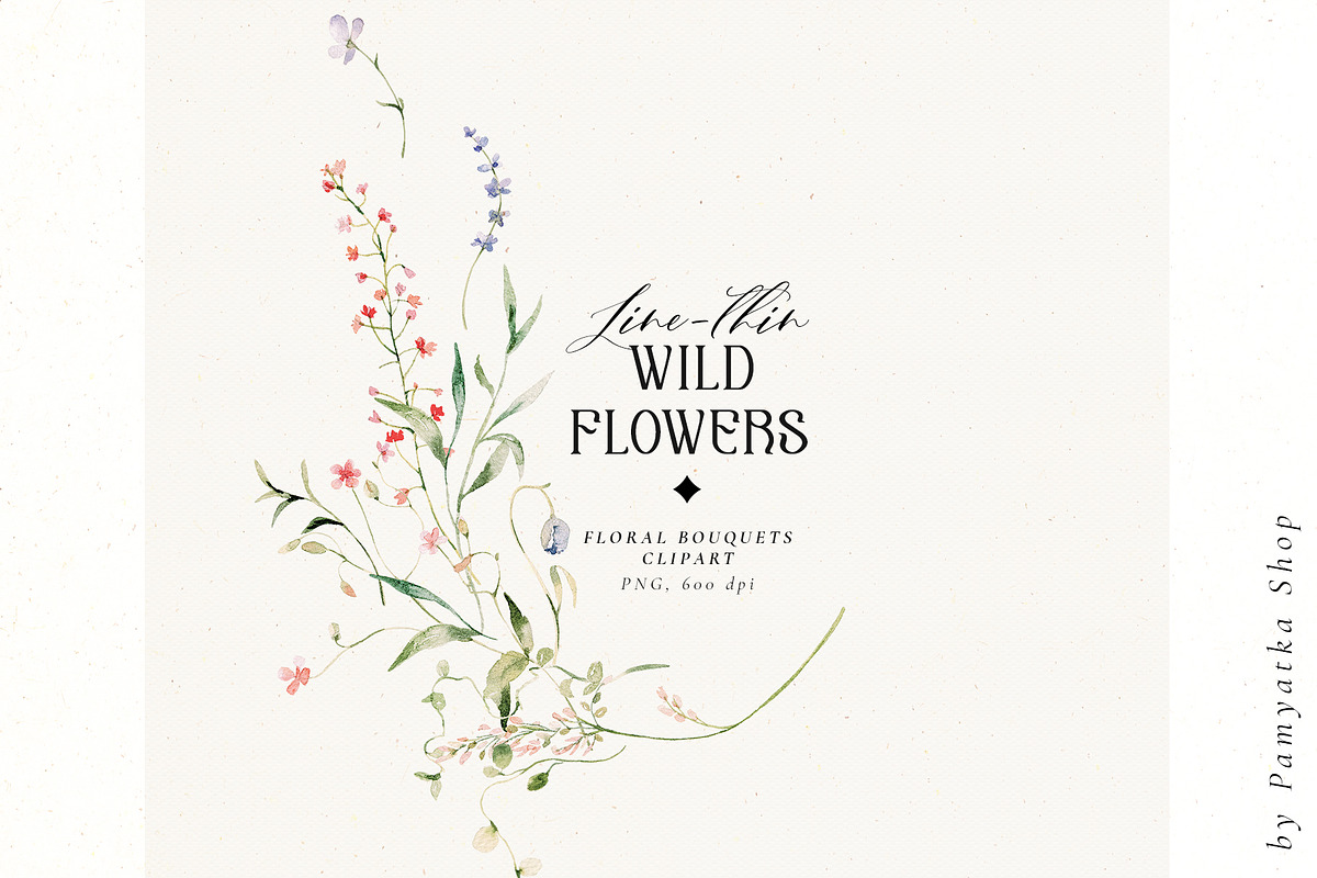 Line-thin watercolor wildflowers, a Decorative Illustration by Pamyatka Shop (Photo 10 of 16)