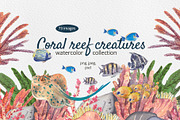 Coral Reef Watercolor Clipart, an Animal Illustration by Nastya Che (Thumbnail 1 of 14)