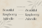 Abask - Modern Ligatures Font, a Serif Font by Nirmana Visual (Thumbnail 9 of 12)