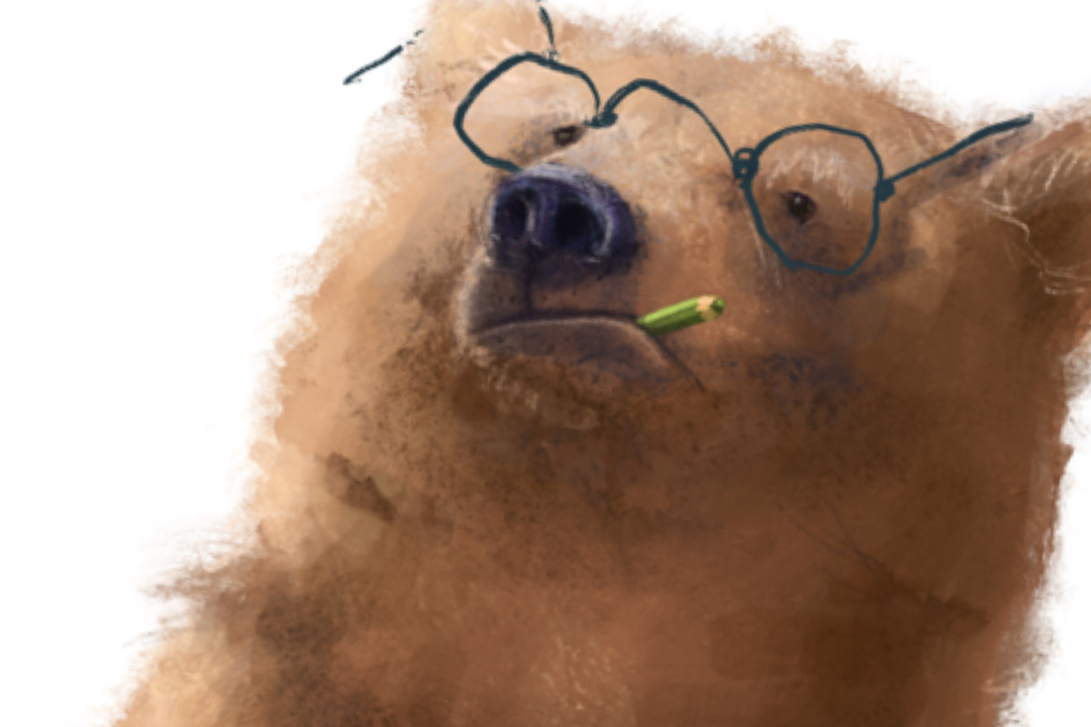 Bear . Teacher's Day, an Animal Illustration by sheincar (Photo 3 of 4)