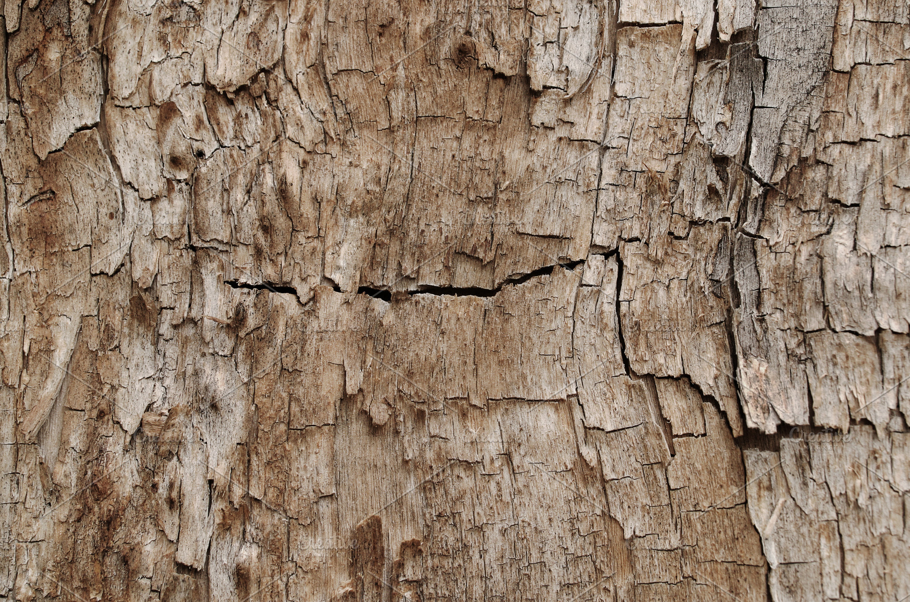 Wooden grunge texture, a Photo by saiko3p