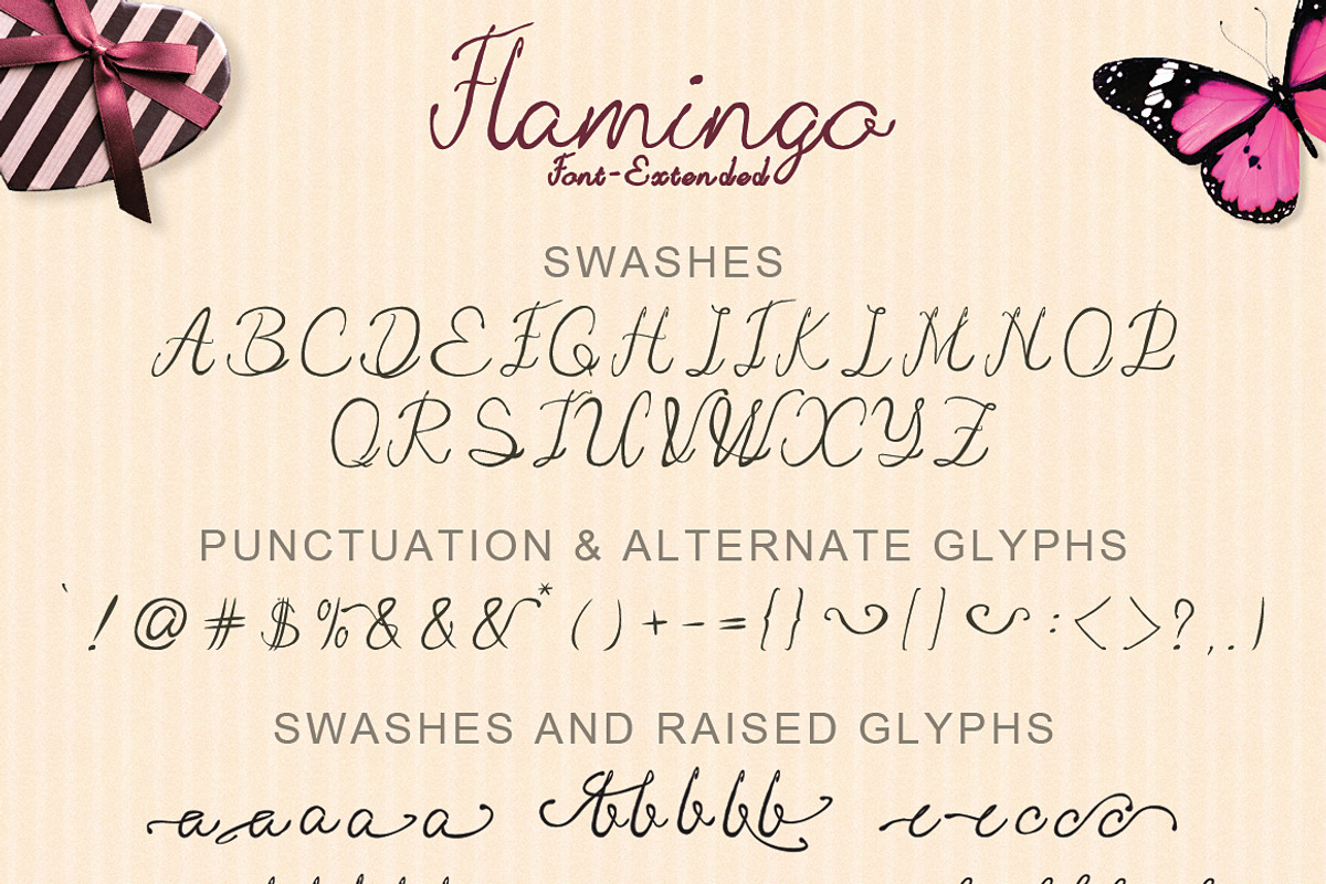 Hand Drawn Flamingo Font, a Script Font by tmcom