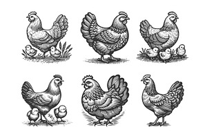 Hen and Chick engraving set vector, an Animal Illustration by AlexArt