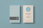 Business Card Prime Bundle, a Business Card Template by ThemeDevisers (Thumbnail 2 of 9)