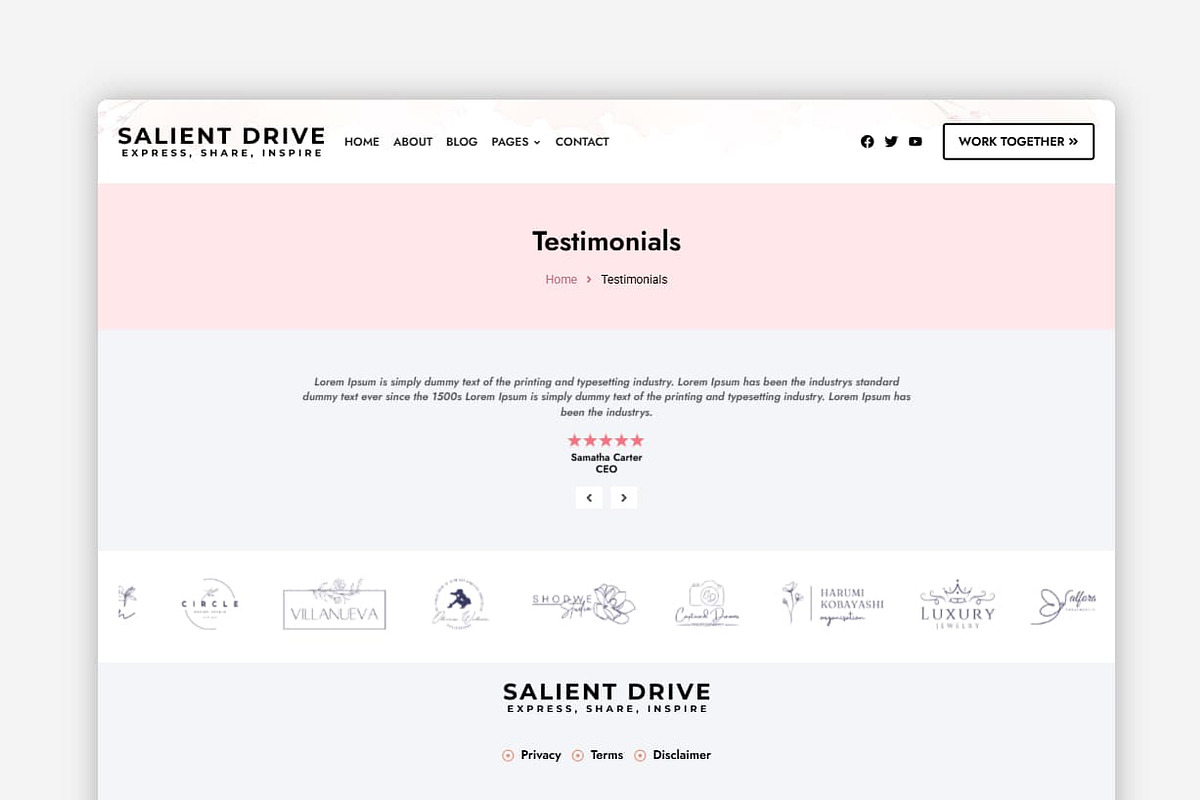 Salient Drive WordPress Theme preview 6