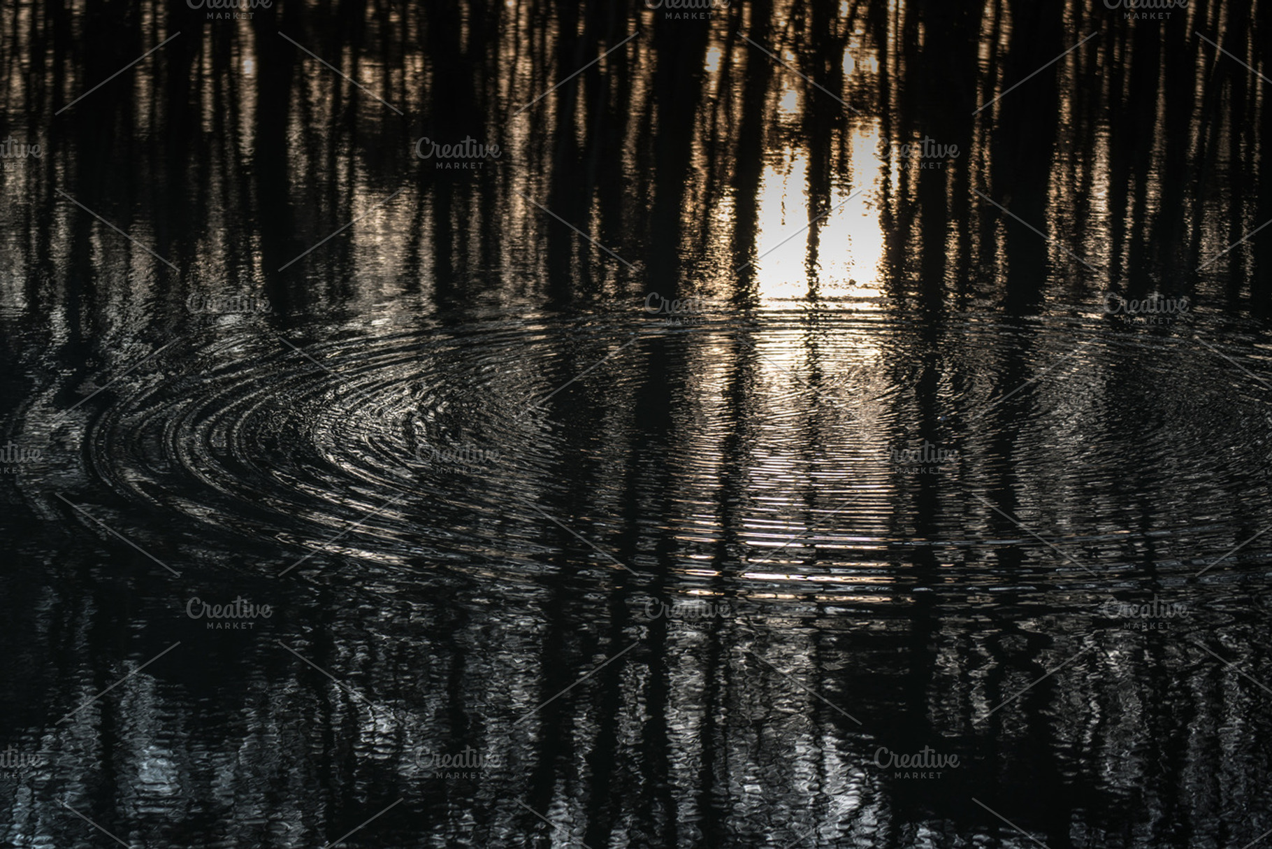 Mirror mirror, a Nature Photo by Screeny's Photo Bucket