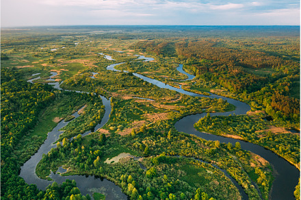 Aerial View Green Forest Woods And, a Nature Photo by Our Amazing World