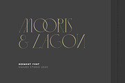 Gesmont, a Serif Font by vuuuds (Thumbnail 6 of 17)