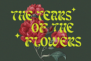 Realizm - Modern Sans Font, a Sans Serif Font by Say Studio (Thumbnail 4 of 13)
