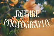 ED Bienova - Display Serif, a Serif Font by Emyself Design (Thumbnail 10 of 12)