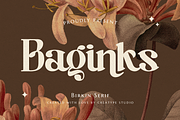 Baginks Birkin Serif, a Serif Font by Creatype Studio (Thumbnail 1 of 10)