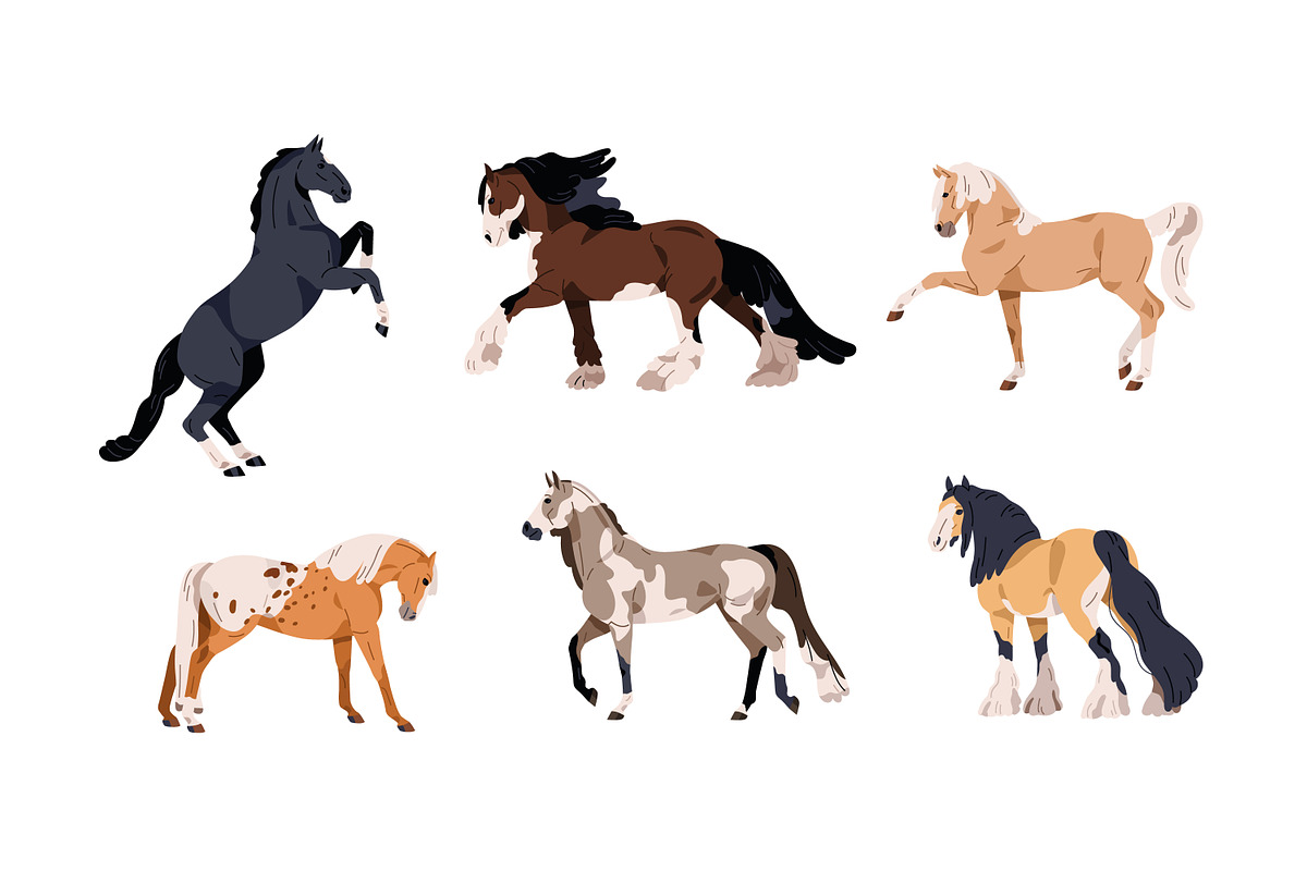 Horses of different breeds set, an Animal Illustration by Good Studio (Photo 2 of 4)