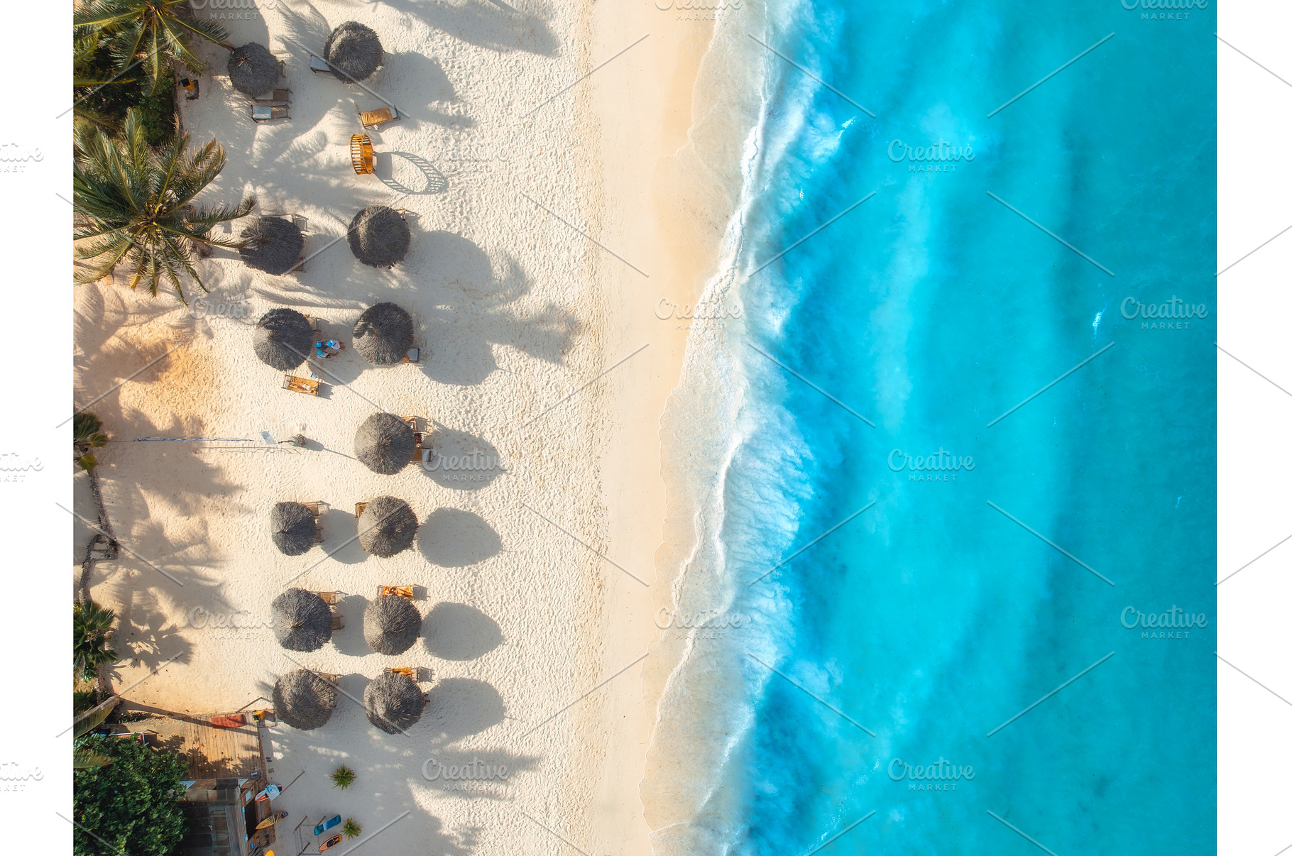 Aerial view of palm trees, umbrellas, a Nature Photo by den-belitsky
