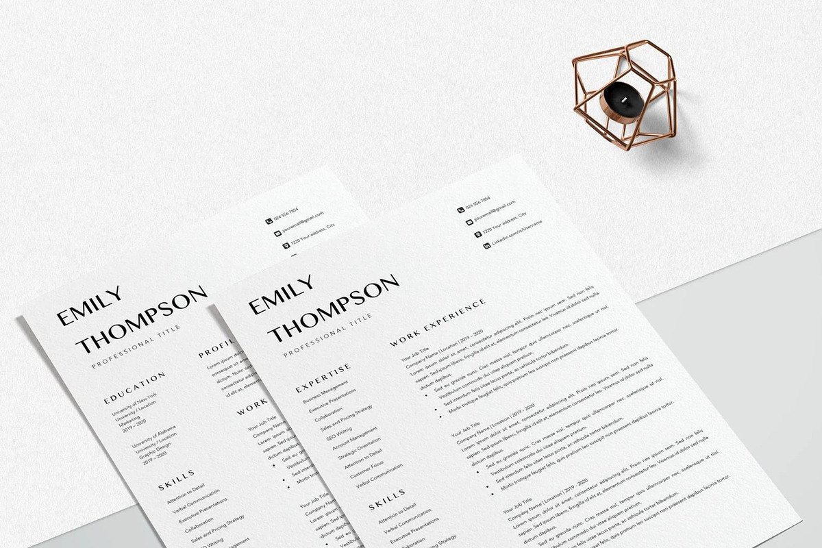 Resume Template Professional, a Resume Template by LucaTheme (Photo 6 of 10)