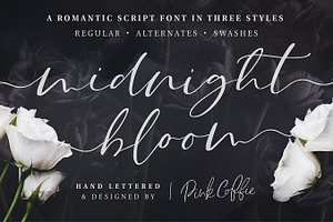 Midnight Bloom Script 18 Free Logos