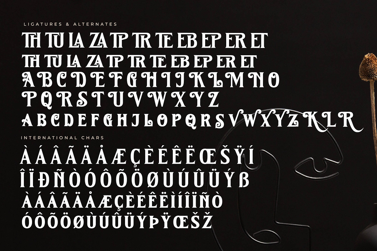 Kingtron Modern Serif Display, a Serif Font by Letterena Studios (Photo 13 of 15)