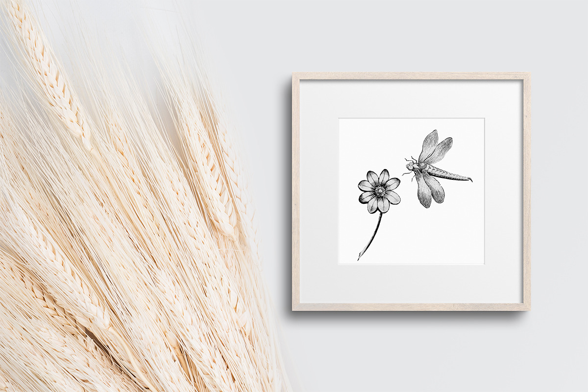Vintage Engraved Botanical Elements, an Illustration by Jennadesigns (Photo 5 of 12)