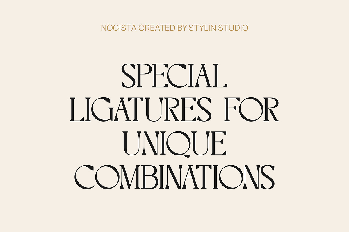 Elegant Beauty – Nogista Font, a Serif Font by Stylin Studio (Photo 13 of 13)