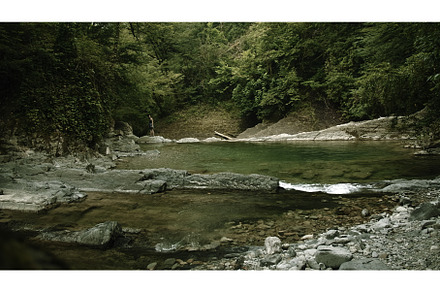 Stream flowing into pond in forest, a Nature Photo by Media Whale Stock
