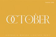 Histeagin Serif, a Serif Font by Yahya Type (Thumbnail 11 of 25)