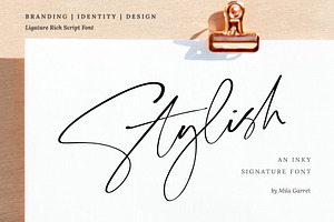 Stylish Signature Handwritten Script