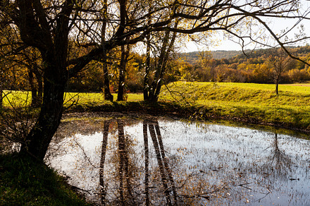 The Karst pond V Lasatkah, Slovenia, a Nature Photo by Bepslabor