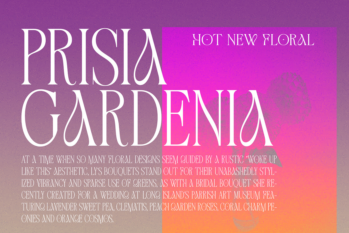 Astone Nouvea, a Sans Serif Font by Gatype (Photo 9 of 9)