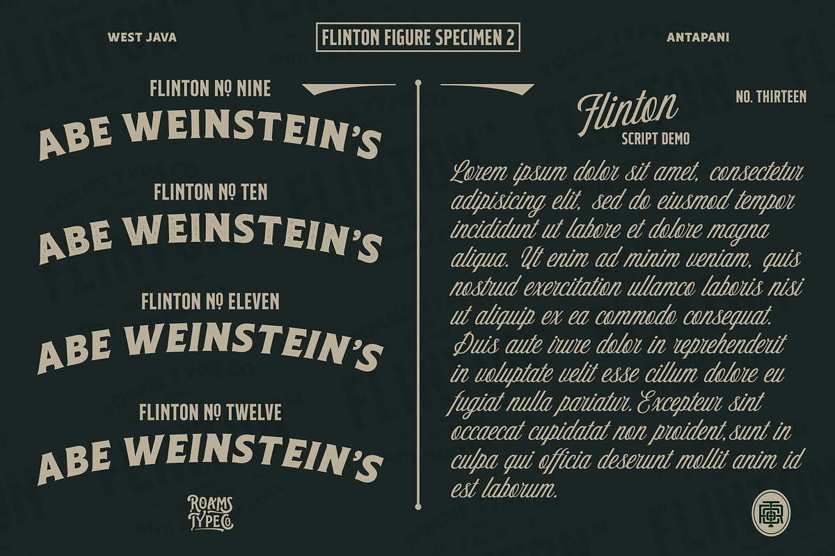 Flinton - Vintage Bundle Fonts, a Serif Font by Roams Type (Photo 3 of 14)