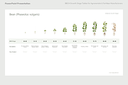 BBCH Growth Stages, Legume Crops, a Presentation Template by Ilia Design (Thumbnail 3 of 9)