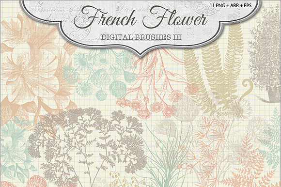French Flower Brushes 3 preview 2