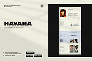 Brand Guidelines Template, a Presentation Template by S A N D Y (Thumbnail 2 of 9)