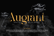 Klivora - Elegant Serif Font, a Serif Font by Idea Studio (Thumbnail 5 of 14)