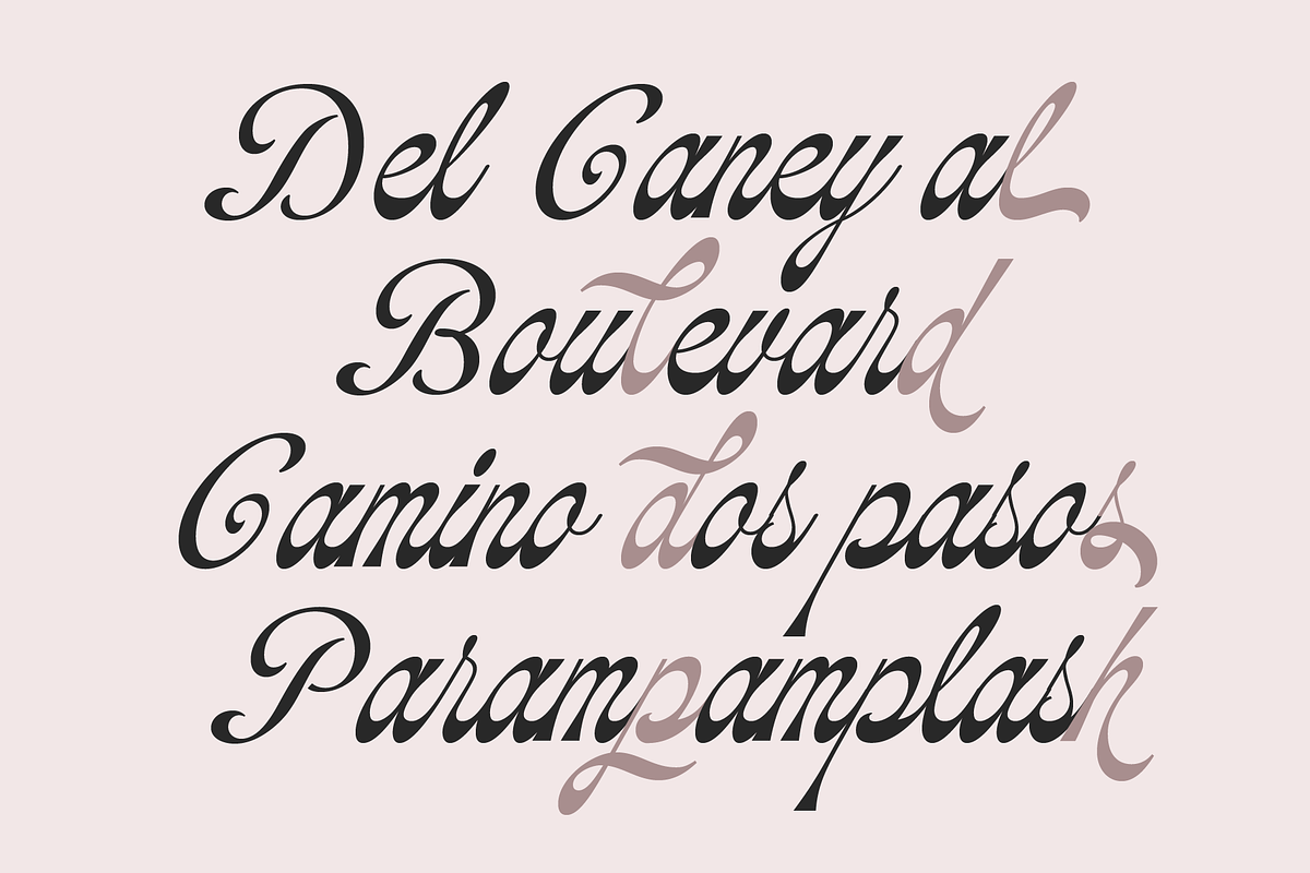 Soulmate Palms | Vintage Script, a Script Font by Jolicia Type (Photo 2 of 12)