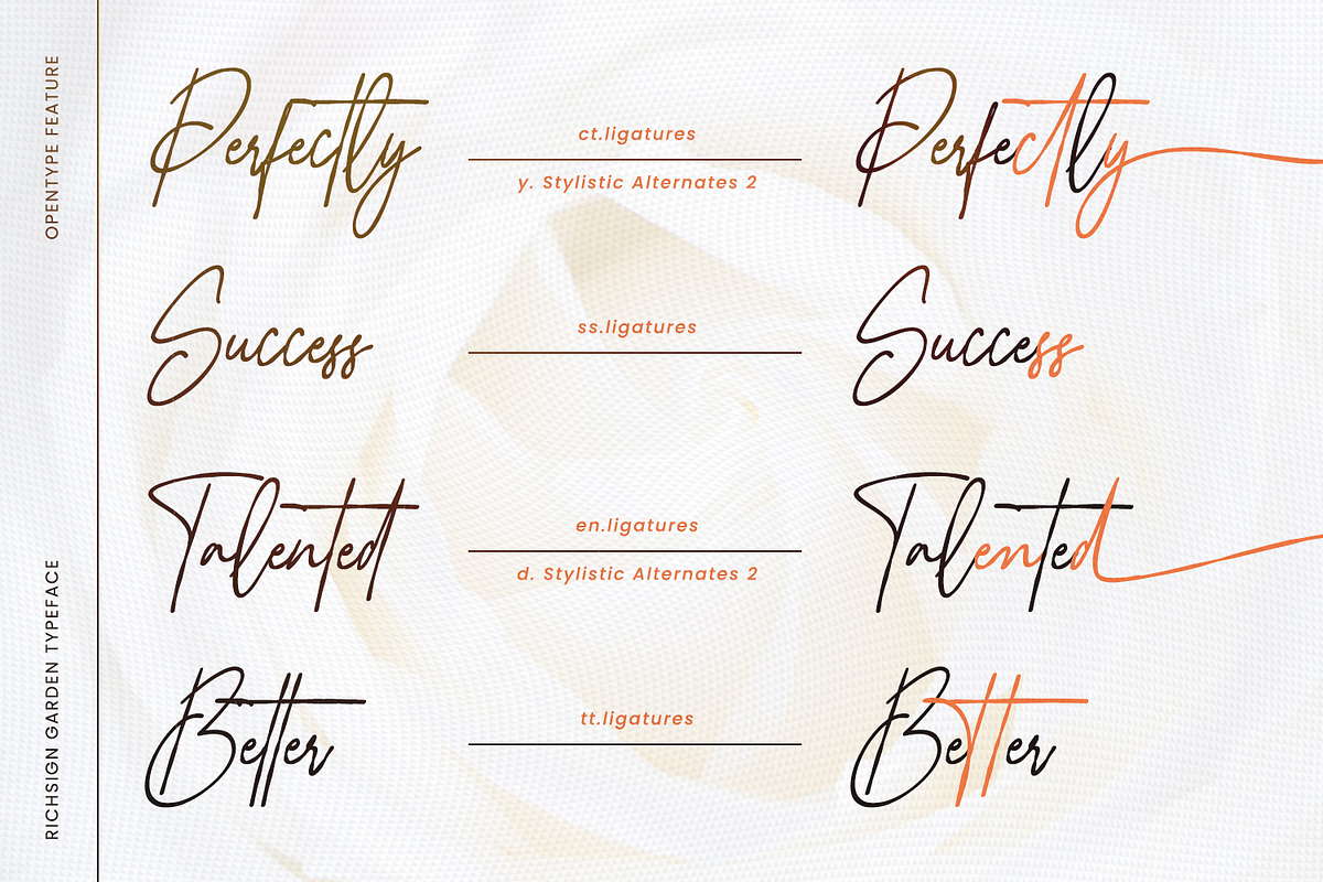 Richsign Style, a Script Font by din-studio.com (Photo 8 of 11)