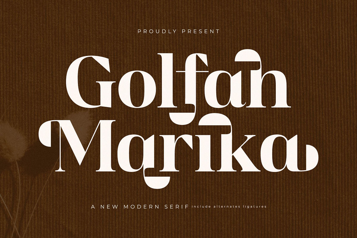Golfah Marika A New Modern Serif, a Serif Font by Storytype Studio (Photo 1 of 15)