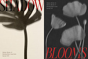 Shadow Blooms, an Object Graphic by Dina Mae (Thumbnail 9 of 10)