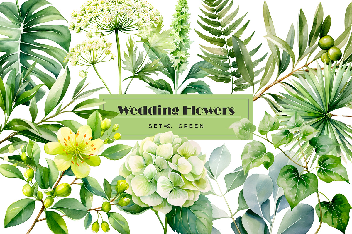 Watercolor green wedding flowers, an Object Illustration by Art and Funny (Photo 1 of 5)