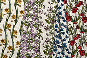Birth Month Flowers Handcrafted, a Decorative Illustration by Ink Stories (Thumbnail 7 of 15)