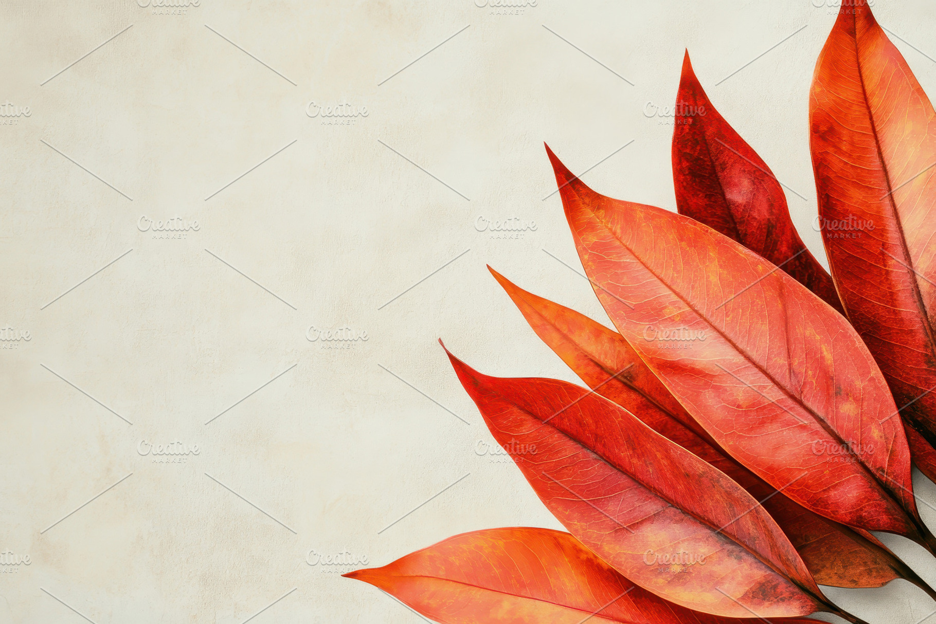 Bright orange and red leaves arrange, a Photo by Tanuart