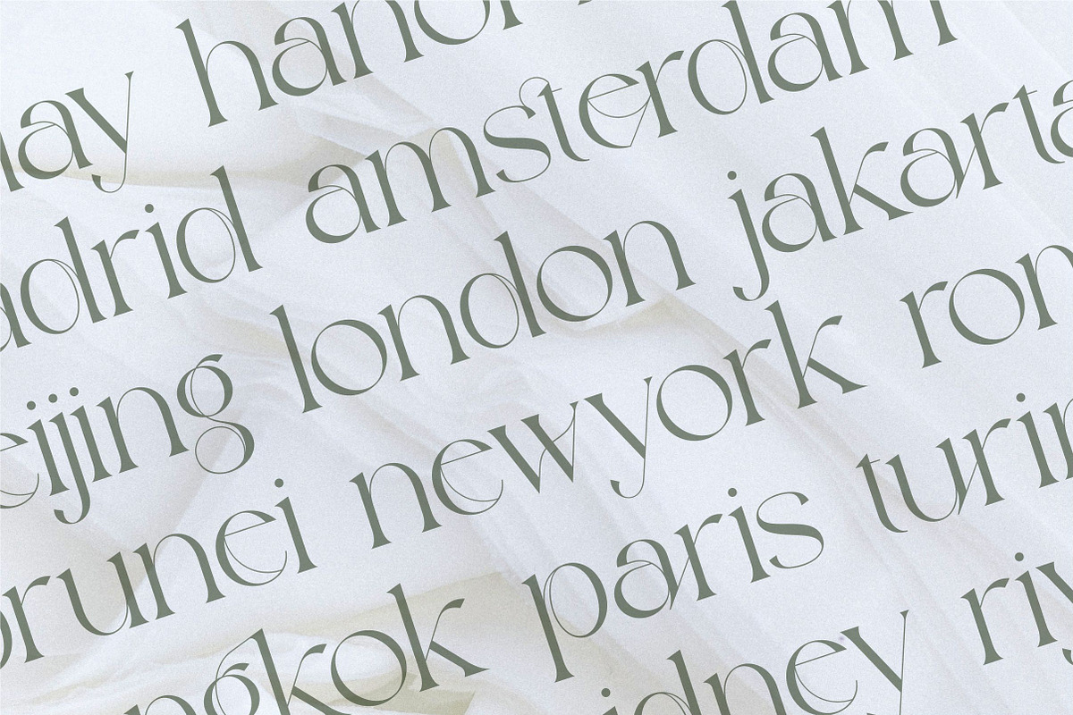 Michelia - Modern & Aesthetic, a Serif Font by ErgibiStudio (Photo 10 of 12)