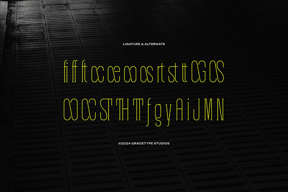 Krogad | Condensed Serif, a Serif Font by gracetype_studio (Photo 12 of 12)