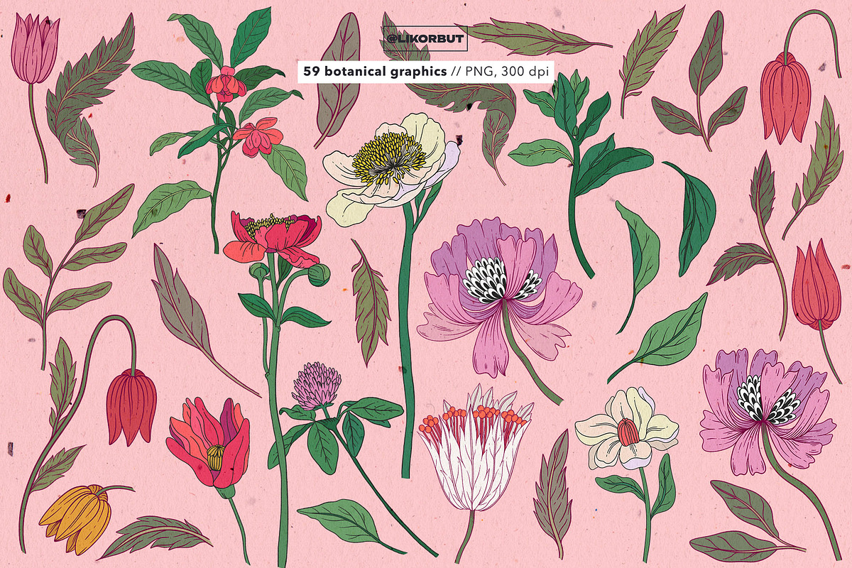 Botanical Modern Floral Illustration, a Decorative Illustration by likorbut (Photo 3 of 6)