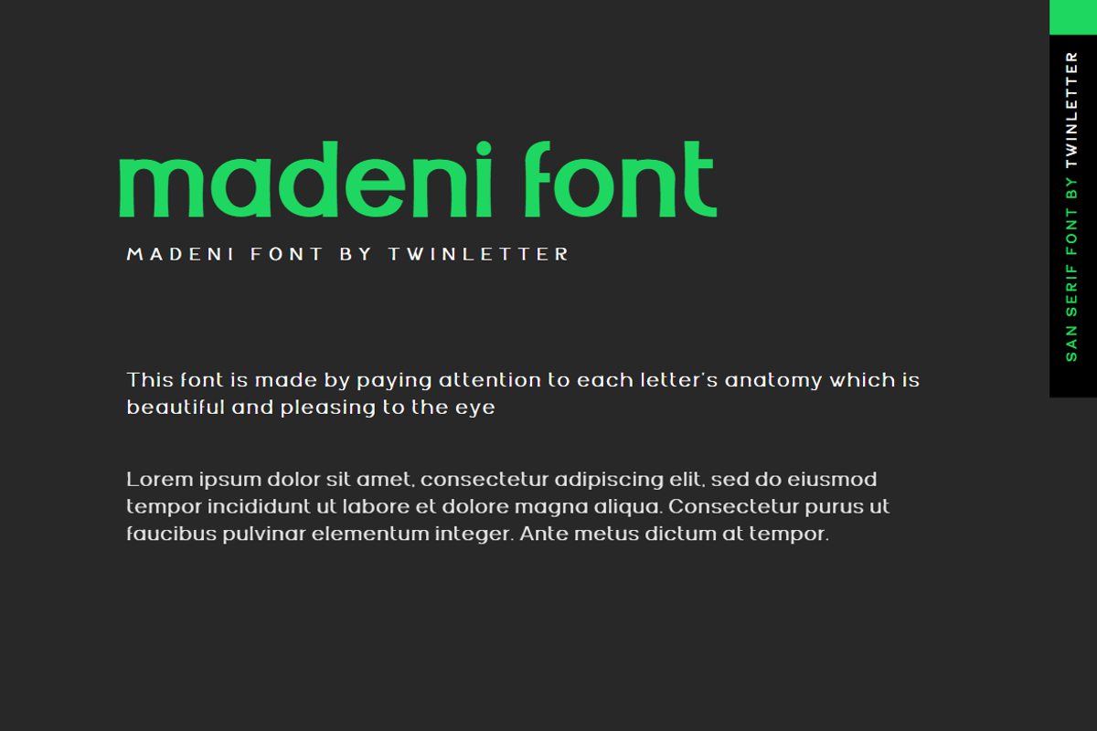 Madeni, a Sans Serif Font by twinstd (Photo 3 of 13)