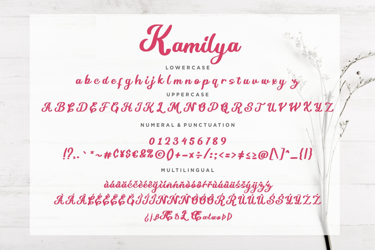 Kamilya Business Font preview 7