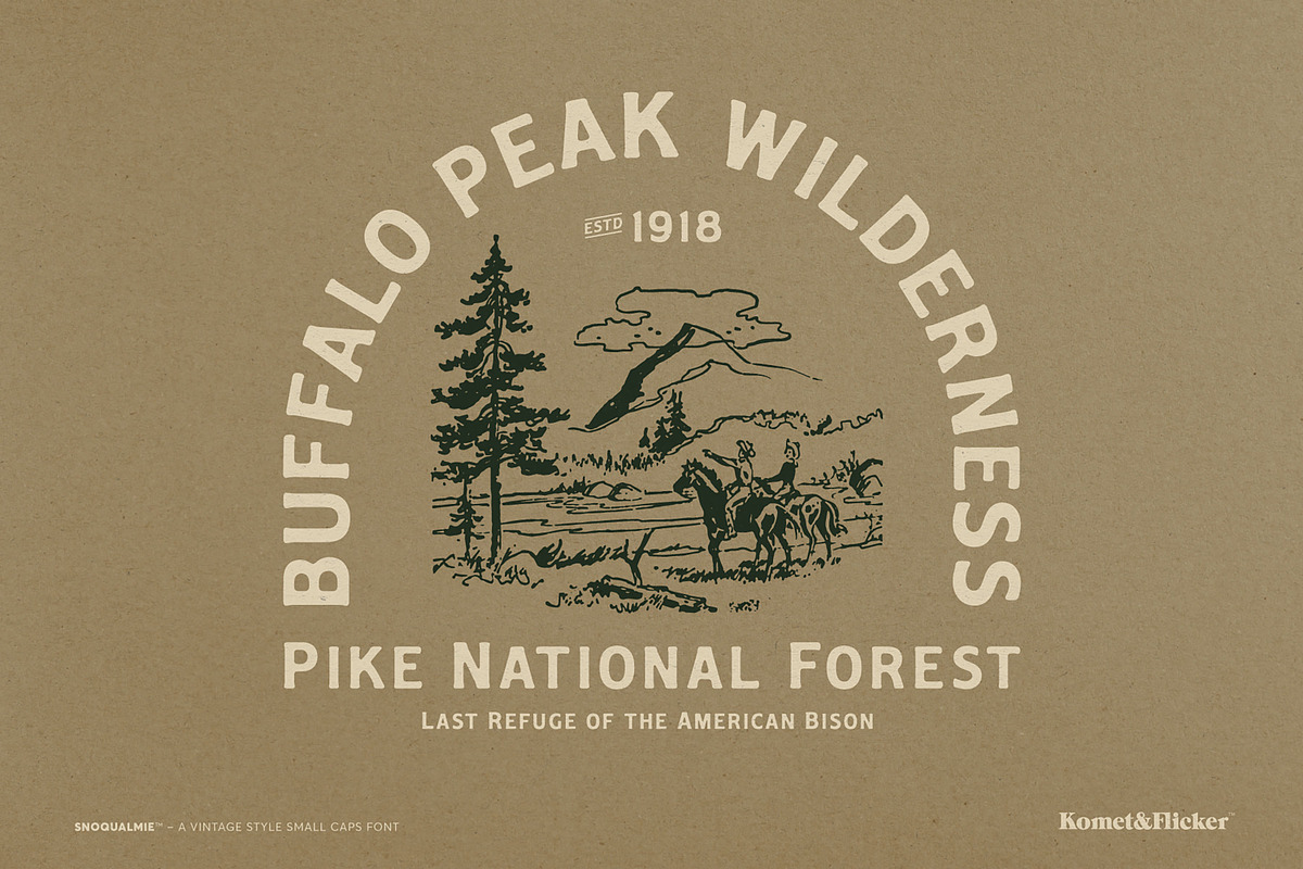 Snoqualmie - A Vintage Style Font, a Serif Font by Komet & Flicker (Photo 3 of 15)